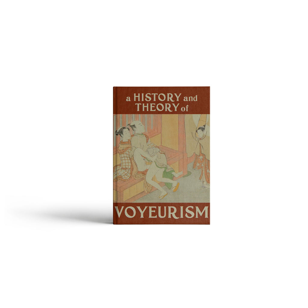 A History And Theory Of Voyeurism Book