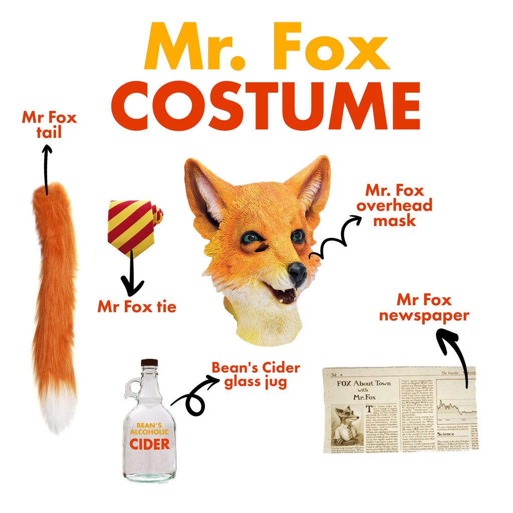 Mr Fox Costume