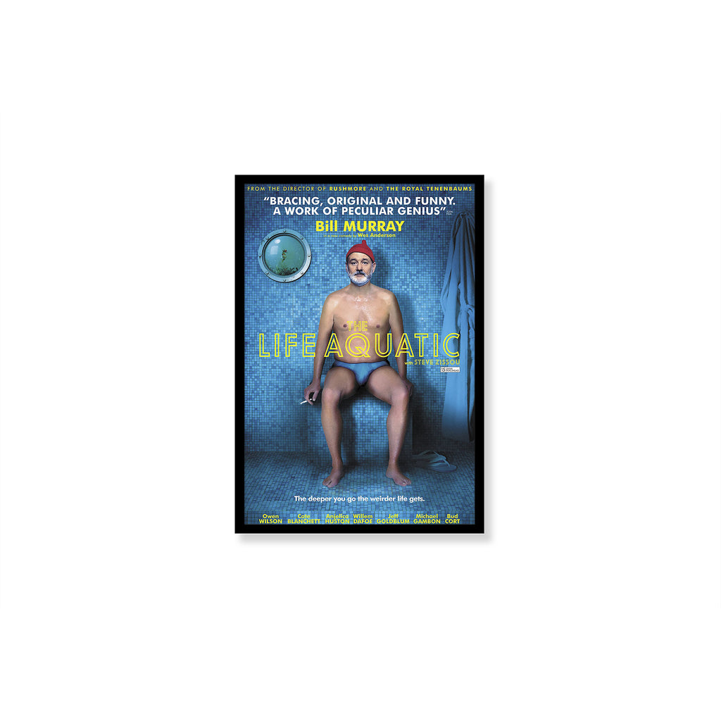 Life Aquatic With Steve Zissou Framed Poster