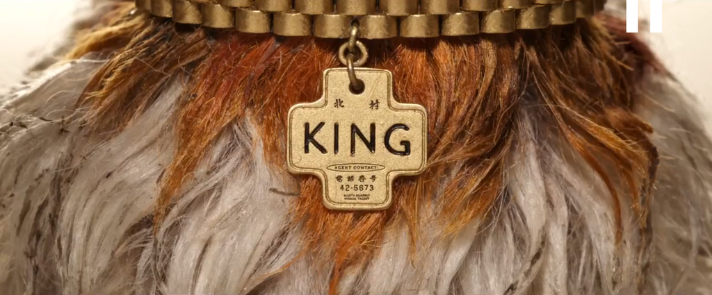 King ID Tag Isle Of Dogs