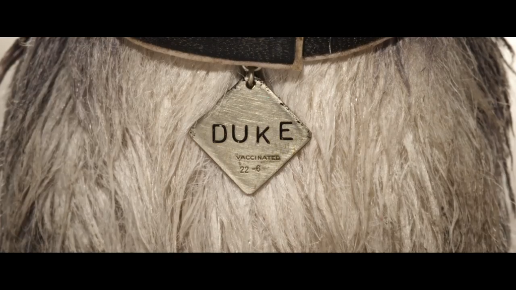 Duke ID Tag