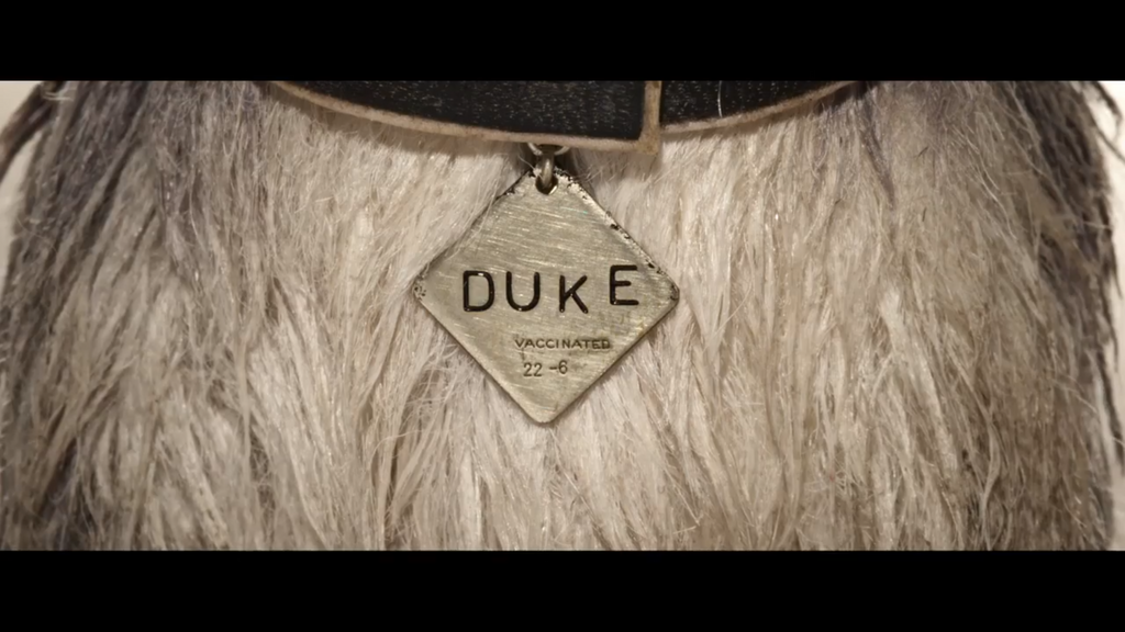 Duke ID Tag Isle Of Dogs