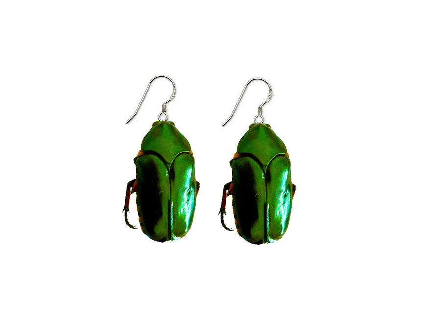 Real Green Beetle Earrings Moonrise Kingdom - Wes-Anderson.com
 - 1
