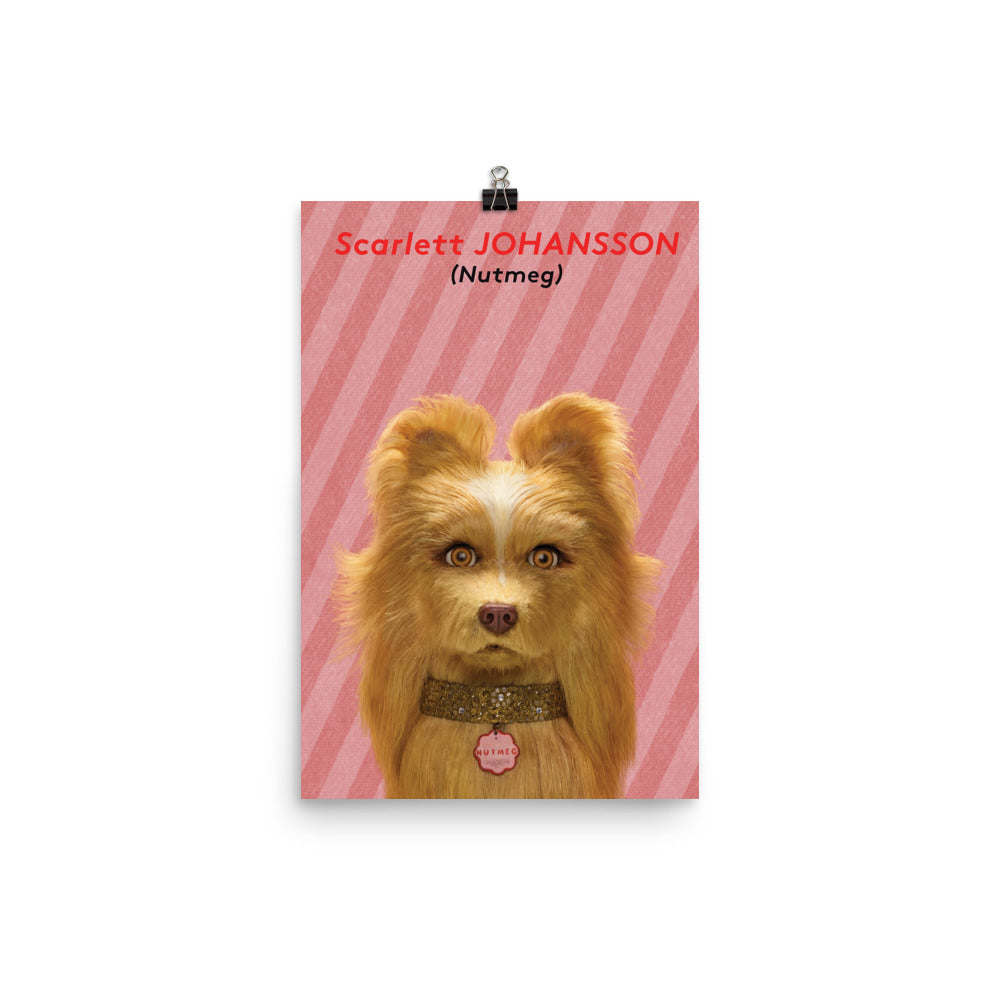 Nutmeg Poster Isle Of Dogs